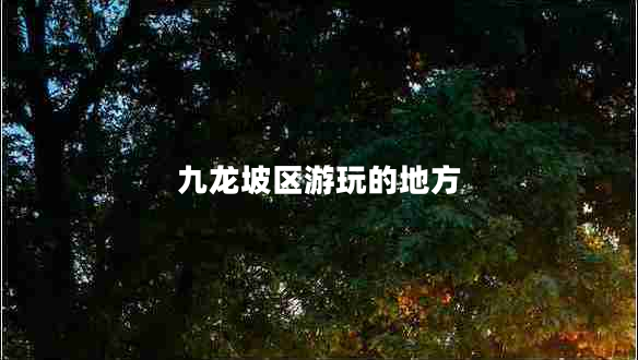 九龍坡區游玩的地方