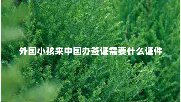 外國(guó)小孩來(lái)中國(guó)辦簽證需要什么證件