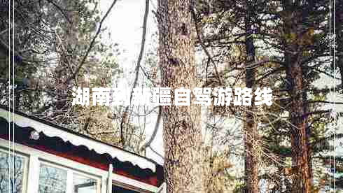 湖南到新疆自駕游路線
