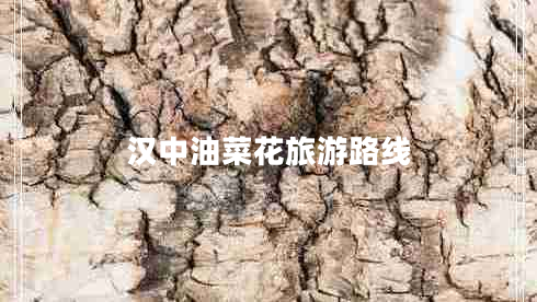 漢中油菜花旅游路線(xiàn)