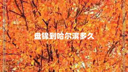 盤(pán)錦到哈爾濱多久