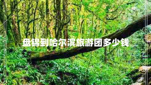 盤(pán)錦到哈爾濱旅游團多少錢(qián)