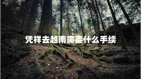 憑祥去越南需要什么手續