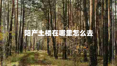 陽(yáng)產(chǎn)土樓在哪里怎么去