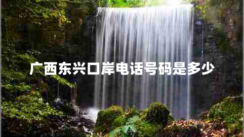 廣西東興口岸電話(huà)號碼是多少