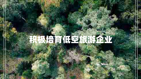 積極培育低空旅游企業(yè)