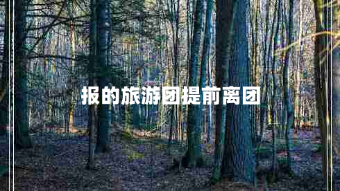 報(bào)的旅游團(tuán)提前離團(tuán)