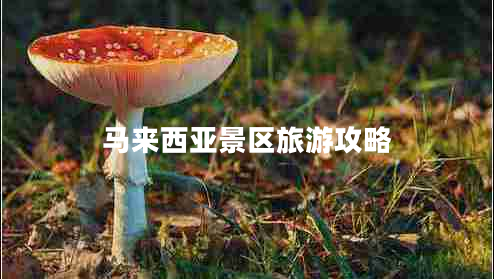 馬來(lái)西亞景區旅游攻略