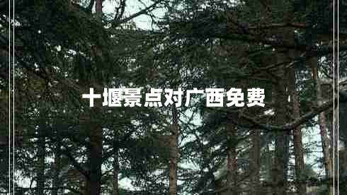十堰景點(diǎn)對廣西免費(fèi)