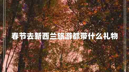 春節去新西蘭旅游都帶什么禮物