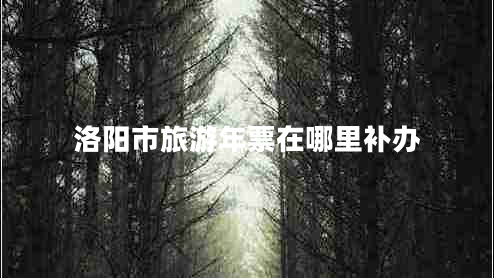 洛陽市旅游年票在哪里補辦