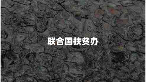 聯(lián)合國(guó)扶貧辦