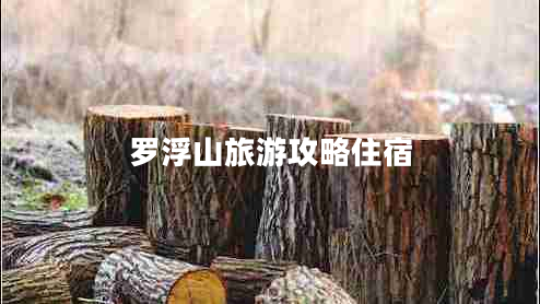 羅浮山旅游攻略住宿