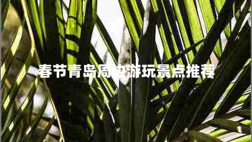 春節青島周邊游玩景點(diǎn)推薦