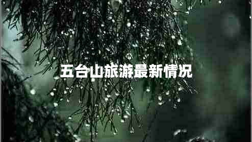 五臺山旅游最新情況