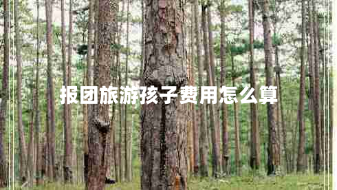 報(bào)團(tuán)旅游孩子費(fèi)用怎么算