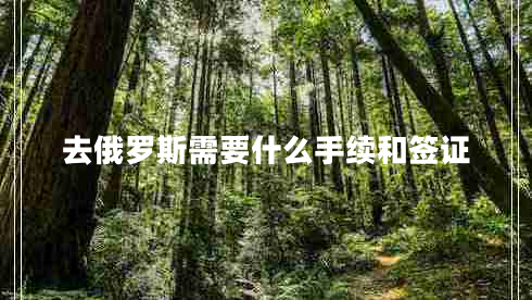 去俄羅斯需要什么手續和簽證