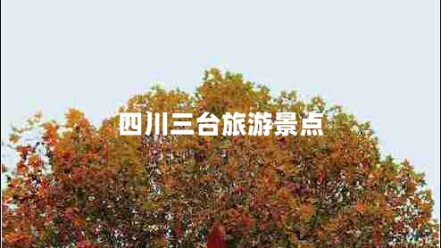 四川三臺(tái)旅游景點(diǎn)