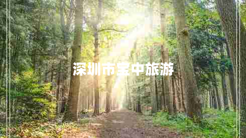 深圳市寶中旅游