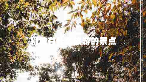 聊城有什么旅游的景點