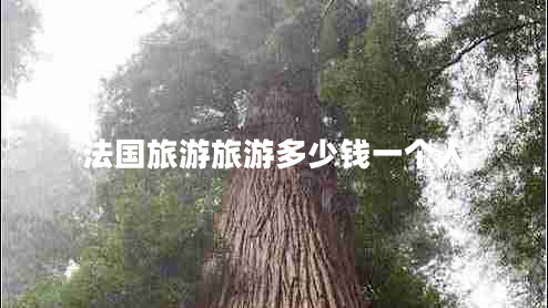 法國(guó)旅游旅游多少錢(qián)一個(gè)人