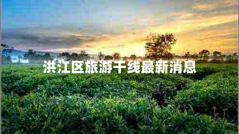 洪江區旅游干線(xiàn)最新消息