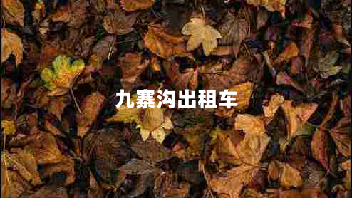 九寨溝出租車