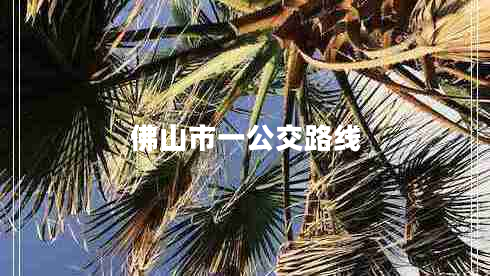 佛山市一公交路線(xiàn)