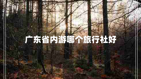 廣東省內游哪個(gè)旅行社好