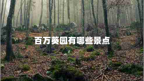 百萬葵園有哪些景點(diǎn)