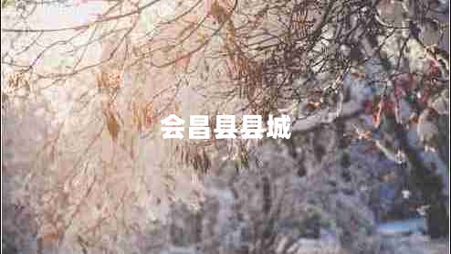 會昌縣縣城