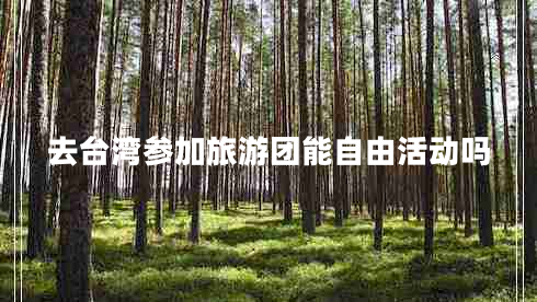去臺灣參加旅游團能自由活動嗎