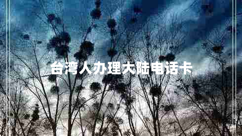 臺灣人辦理大陸電話卡