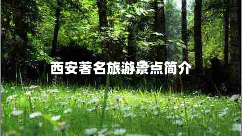 西安著名旅游景點(diǎn)簡介