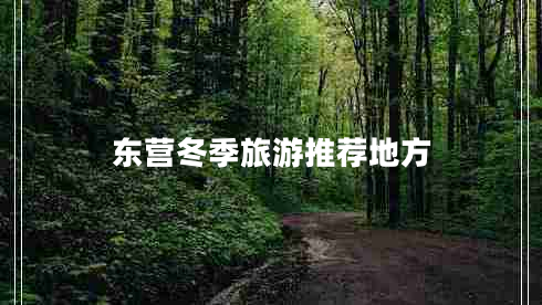 東營冬季旅游推薦地方
