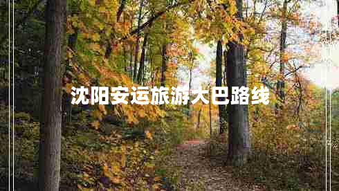 沈陽安運(yùn)旅游大巴路線