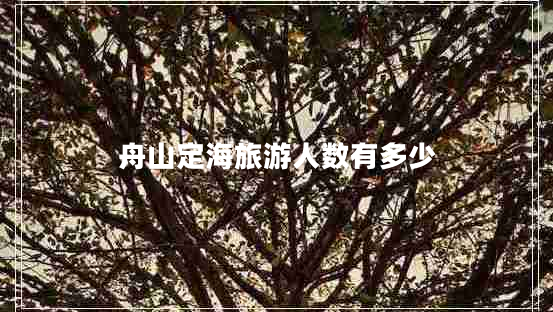 舟山定海旅游人數有多少