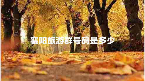 襄陽旅游群號(hào)碼是多少