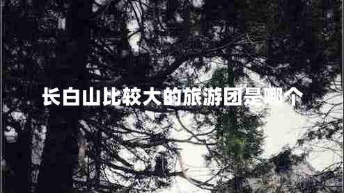 長(zhǎng)白山比較大的旅游團(tuán)是哪個(gè)