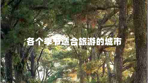 各個(gè)季節適合旅游的城市