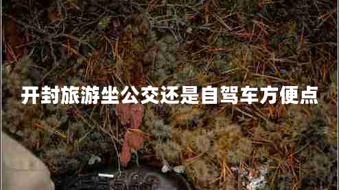 開(kāi)封旅游坐公交還是自駕車(chē)方便點(diǎn)