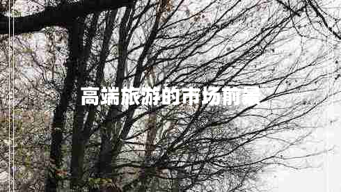 高端旅游的市場前景