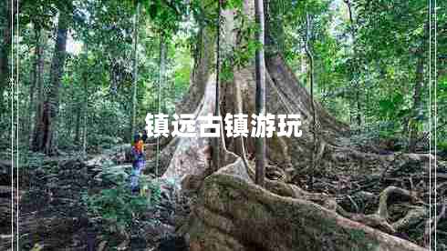 鎮遠古鎮游玩