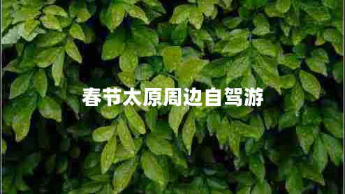 春節(jié)太原周邊自駕游