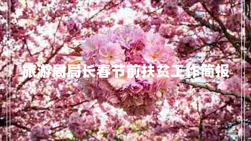 旅游局局長春節(jié)前扶貧工作簡報