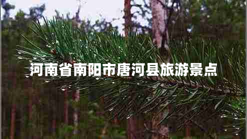 河南省南陽市唐河縣旅游景點(diǎn)