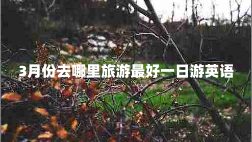3月份去哪里旅游最好一日游英語(yǔ)
