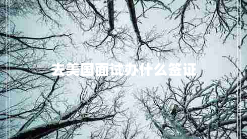 去美國面試辦什么簽證