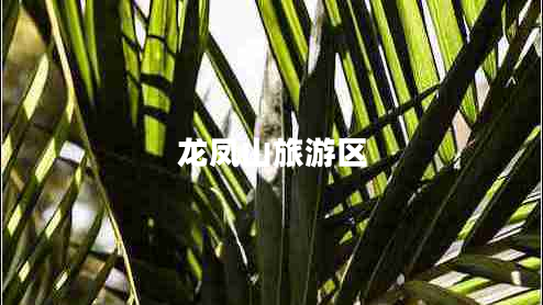 龍鳳山旅游區