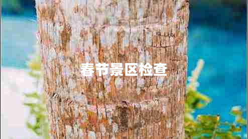 春節景區檢查